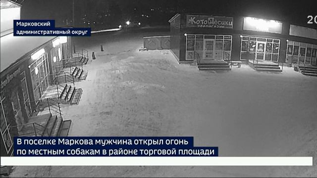 Необъяснимая жестокость. В поселке Маркова мужчина открыл огонь по местным дворнягам в районе торгов