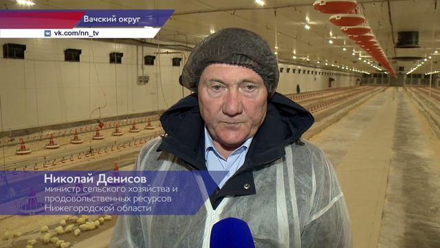 Открытие нового птицеводческого комплекса прошло в Вачском округе Нижегородской области
