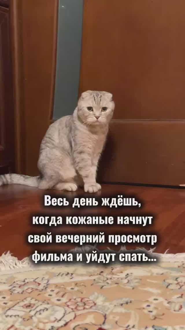 Дизайн интерьера отменяется😂