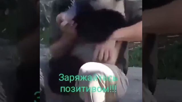 Видео от МЯУтаверс – как метавселенная, но с котами