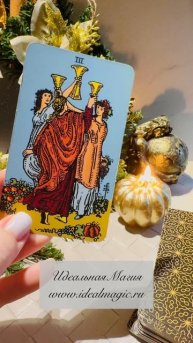 Прогноз на сегодня 💕