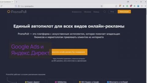 Продвижение сайта в PromoPult