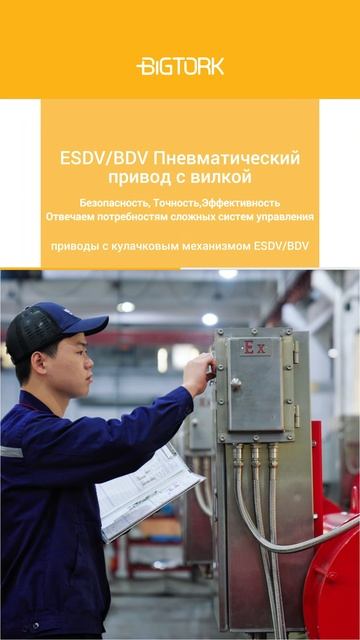 ESDVBDV Пневматический вилочный привод-BIGTORK VALVE AUTOMATION