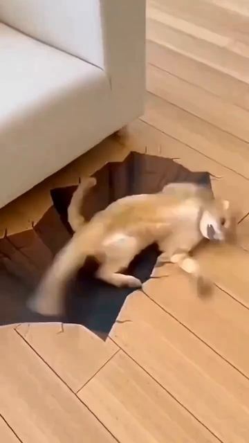 Клип @potexclips