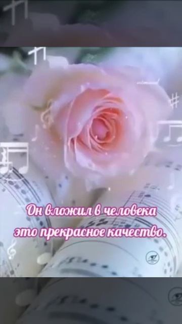 VID_20251210_103532_185.mp4