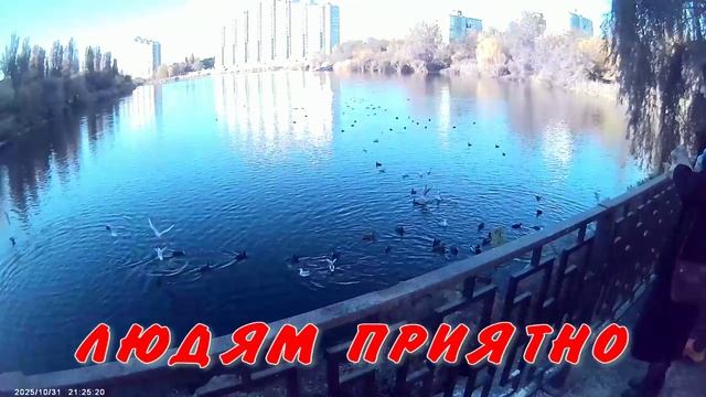 ВЕСЕЛОЕ НАСТРОЕНИЕ