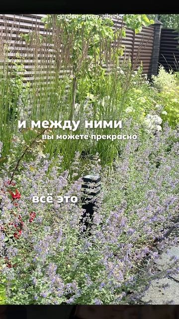 🌸 Зачем нужны однолетние растения, и как работать с ними при создании цветников?