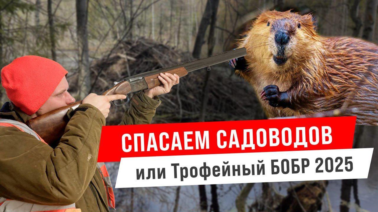 Спасаем садоводов и добываем трофей 2025