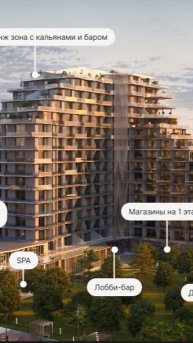 ПОЧЕМУ ЗАПУСТИЛИ ПТИЦУ 2