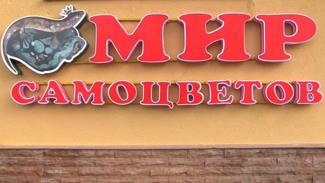 изготовление вывески в Крыму альфа гросс