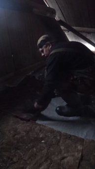 Теплый рай на чердаке: как я утеплял крышу