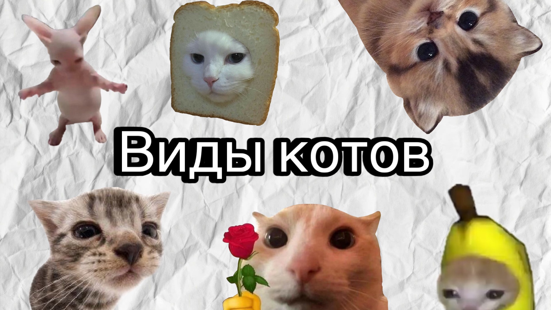 copy_26404AB4-B9AF-4350-BC49-AE1C2269E669