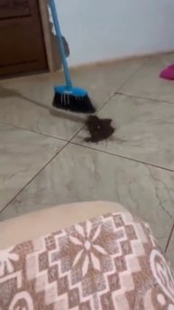 Помощничек