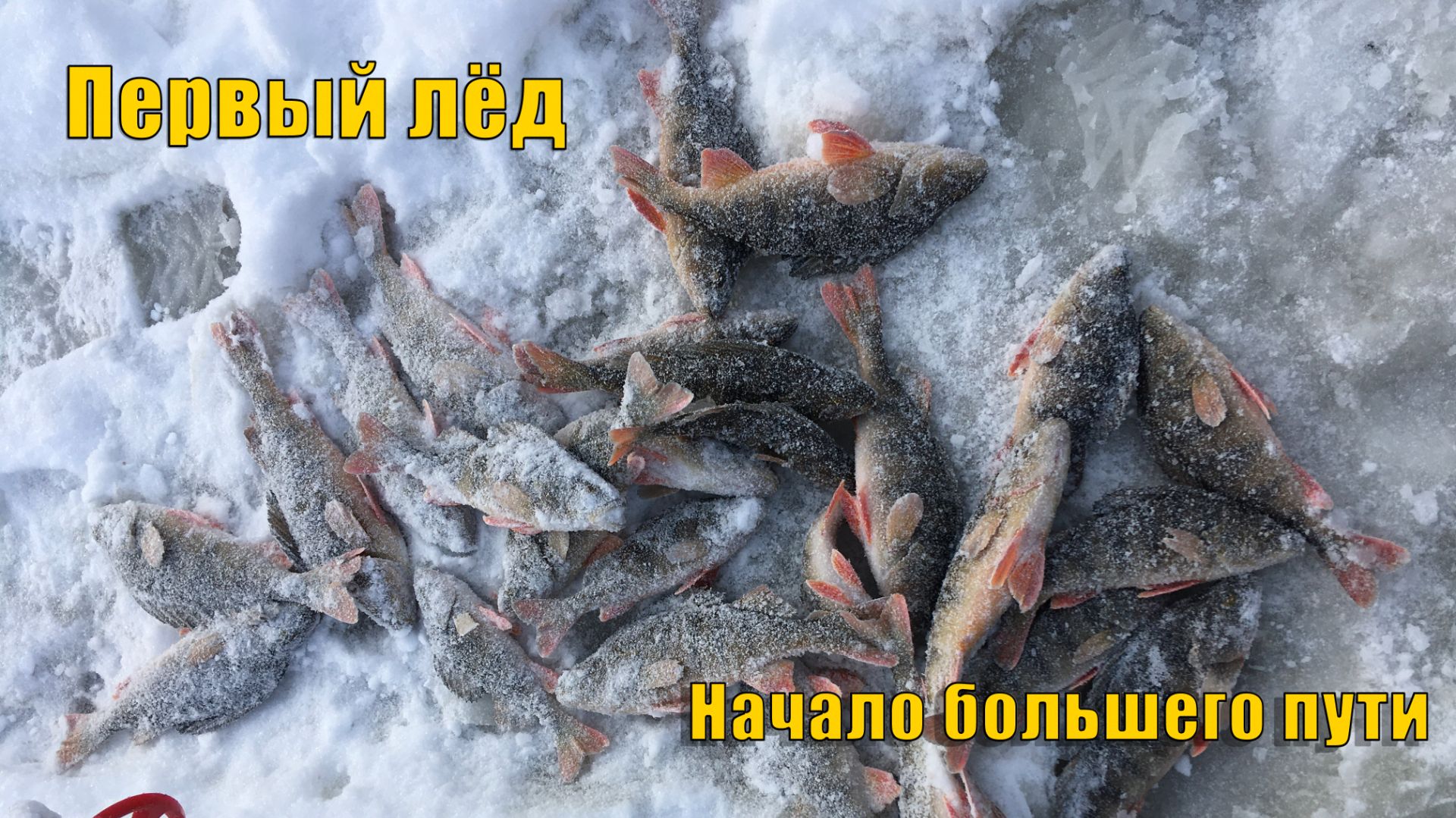 Первый лед 2019-2020. Окуня - кабанчика на балансир. Зимняя рыбалка 2019.