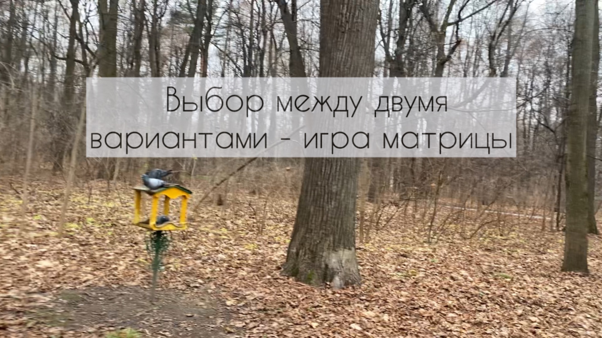 Отслеживать провокации, когда вас вынуждают выбирать между двумя неподходящими вариантами
