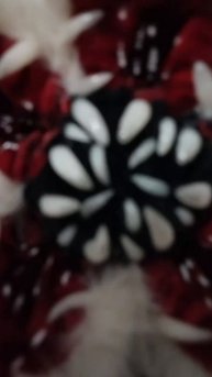 Демогоргон ОСД