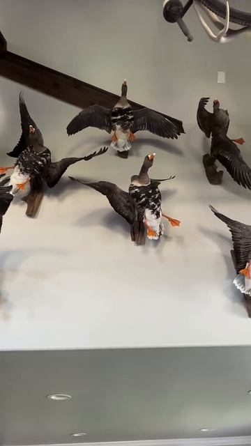 Дом охотника, как вам? Друзья 👍