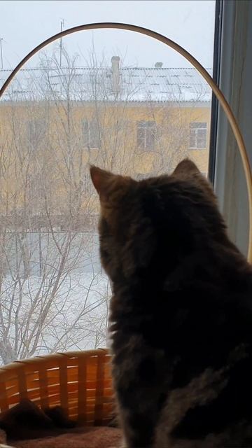 С Наступающим Новым годом 😉