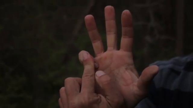 Научиться как Брюс Ли отжиматься на двух пальцах