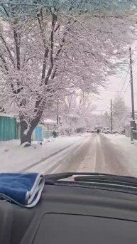 У нас вот такой погда