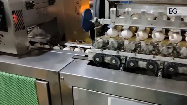 Станок для фасовки куриных яиц в лотки FBD85-4