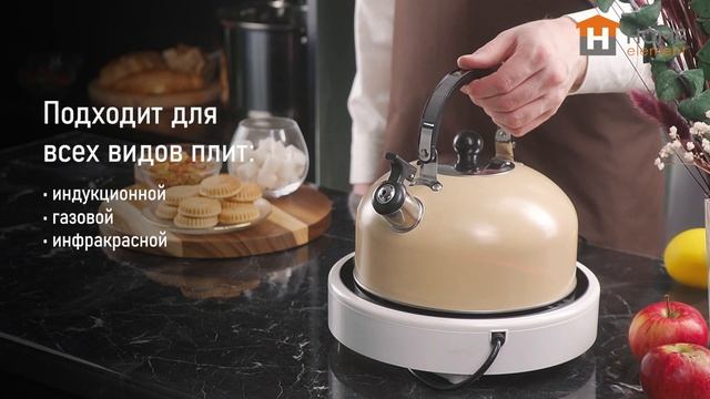 Металлический чайник HOME ELEMENT HE-WK1604A