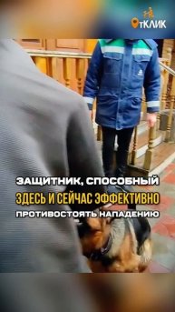 Угроза для злоумышленника.