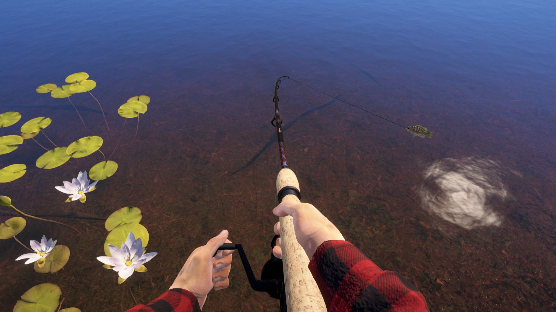 За хариусом и форелью на озеро Куори