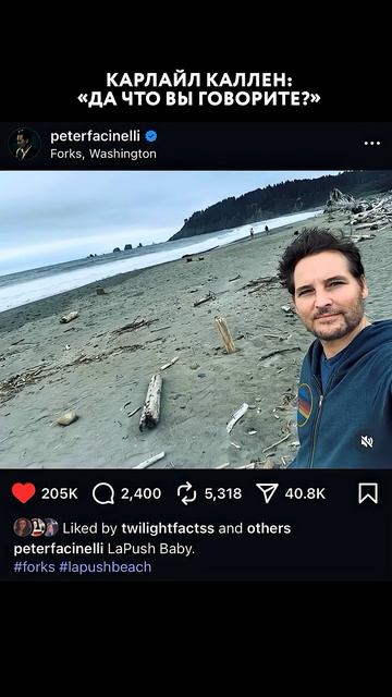 КАЛЛЕНЫ СЮДА НЕ СУЮТСЯ #сумерки