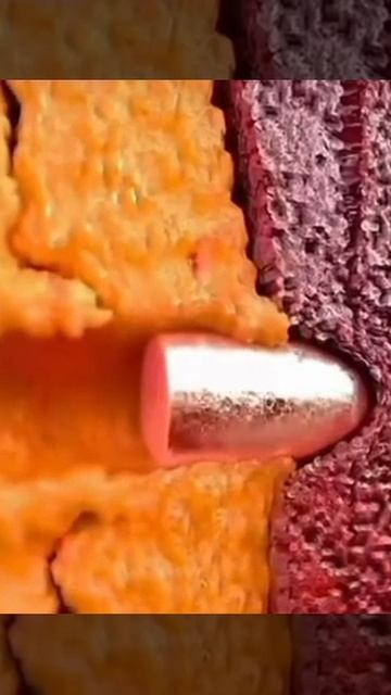 Будешь толстым будешь дольше жить