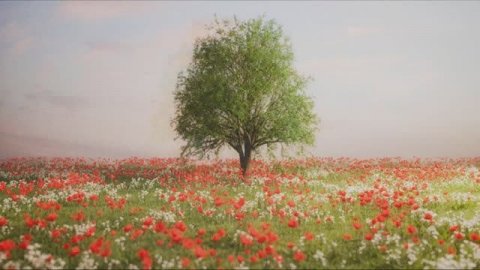 Pink Floyd - Shine On You Crazy Diamond, Prelude