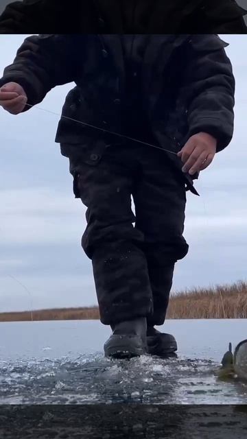 Первый лёд. Первая жерлица. Первая щука. Во всём первые!.