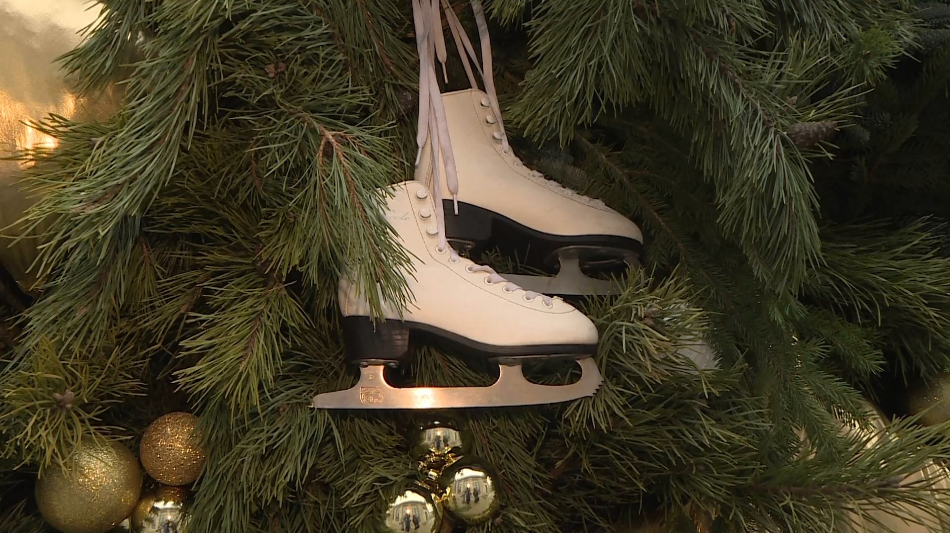 Полтысячи елок украсят на Рязанской ВДНХ