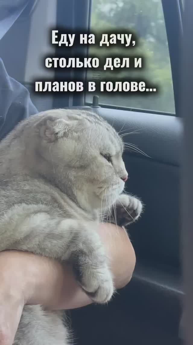 И так всегда😅