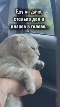 И так всегда😅