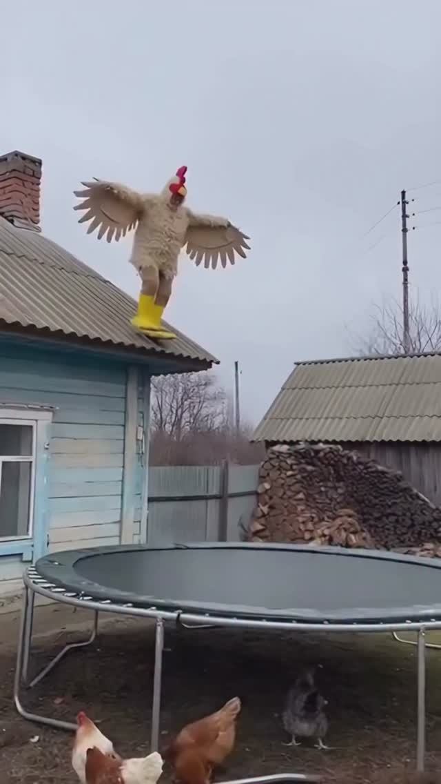 Это вообще законно!