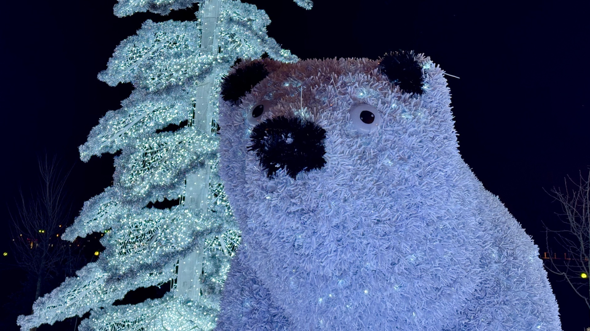 Полярные медведи в парке у Ростокинского акведука