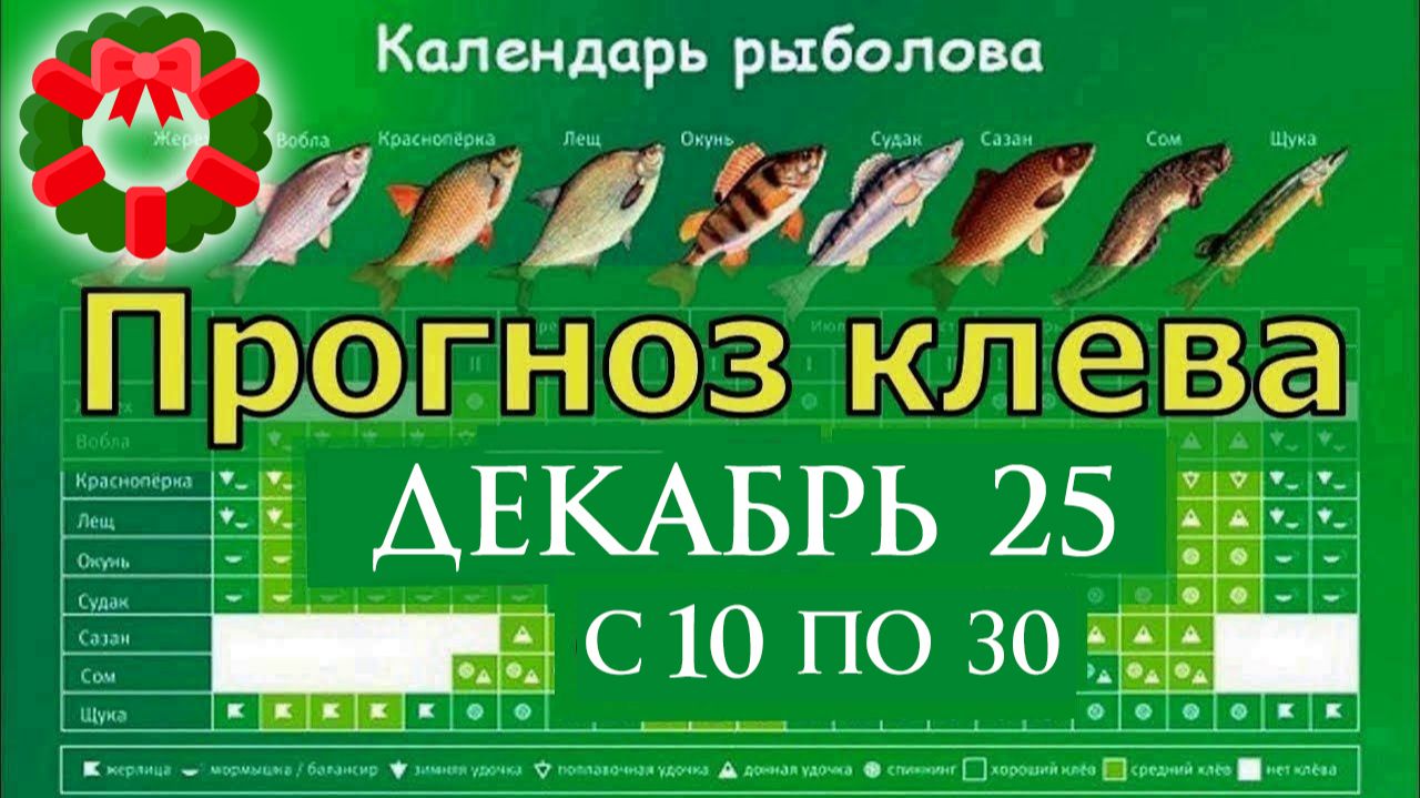 Календарь клева рыбы на ДЕКАБРЬ 2025
