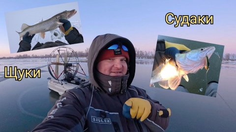 ЛЁД ТРЕЩИТ! РЫБА ПРЁТ! ПОИСК ХИЩНИКА ЗИМОЙ!