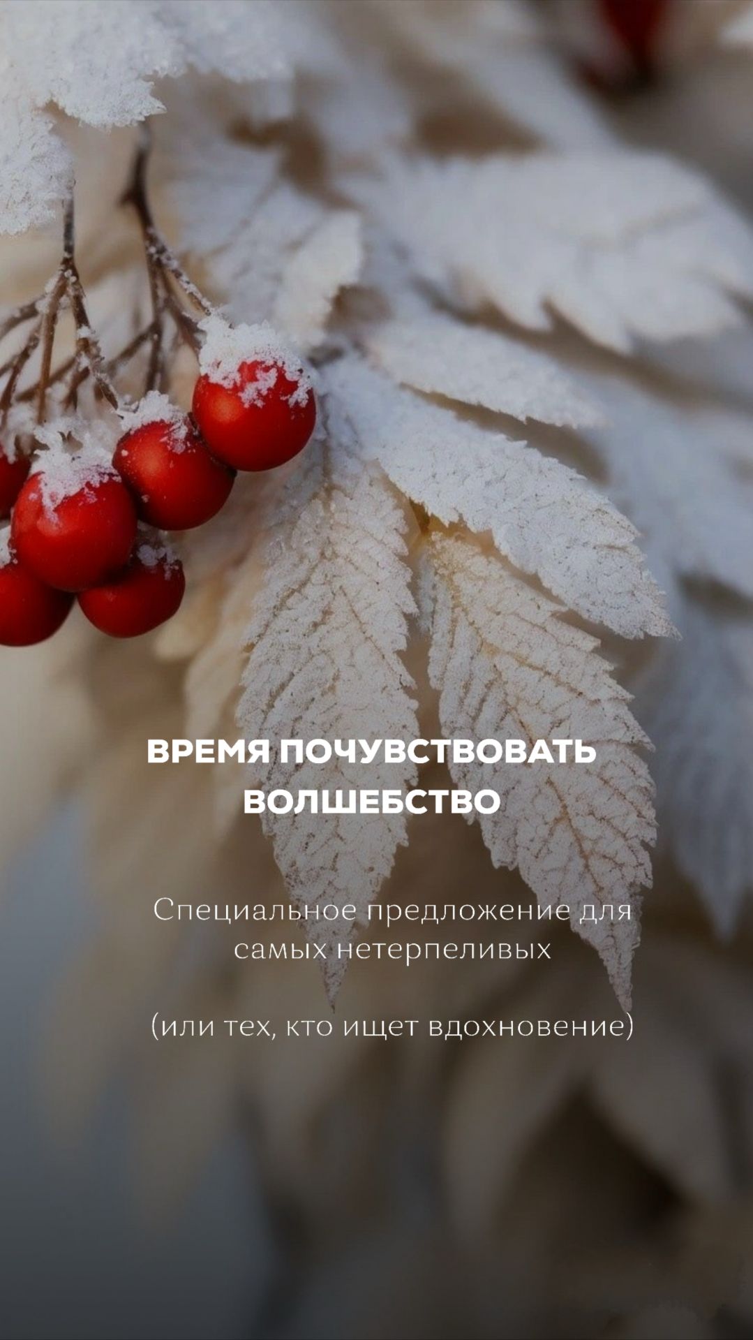 ❄️ СПА-программа «Зимний сон» со скидкой -10%! ❄️