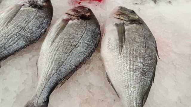 #много разной рыбки# МММ сколько ее и разной