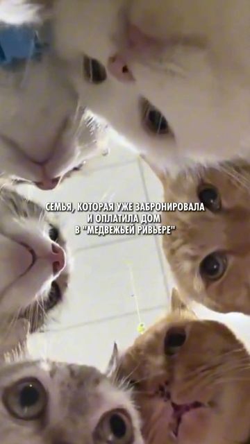 Муж запретил встречать Новый год загородом: «только дома». 🏡