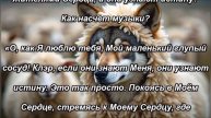 Отступничество папы римского и Церковь Иисуса