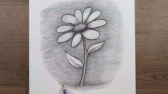 Как нарисовать Цветок карандашом поэтапно. Легкий рисунок цветка