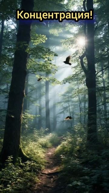 Концентрация! #сознанность #пробуждения #концентрация #ум #эго