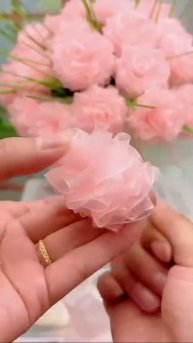 VID_20251209_121257_311.mp4