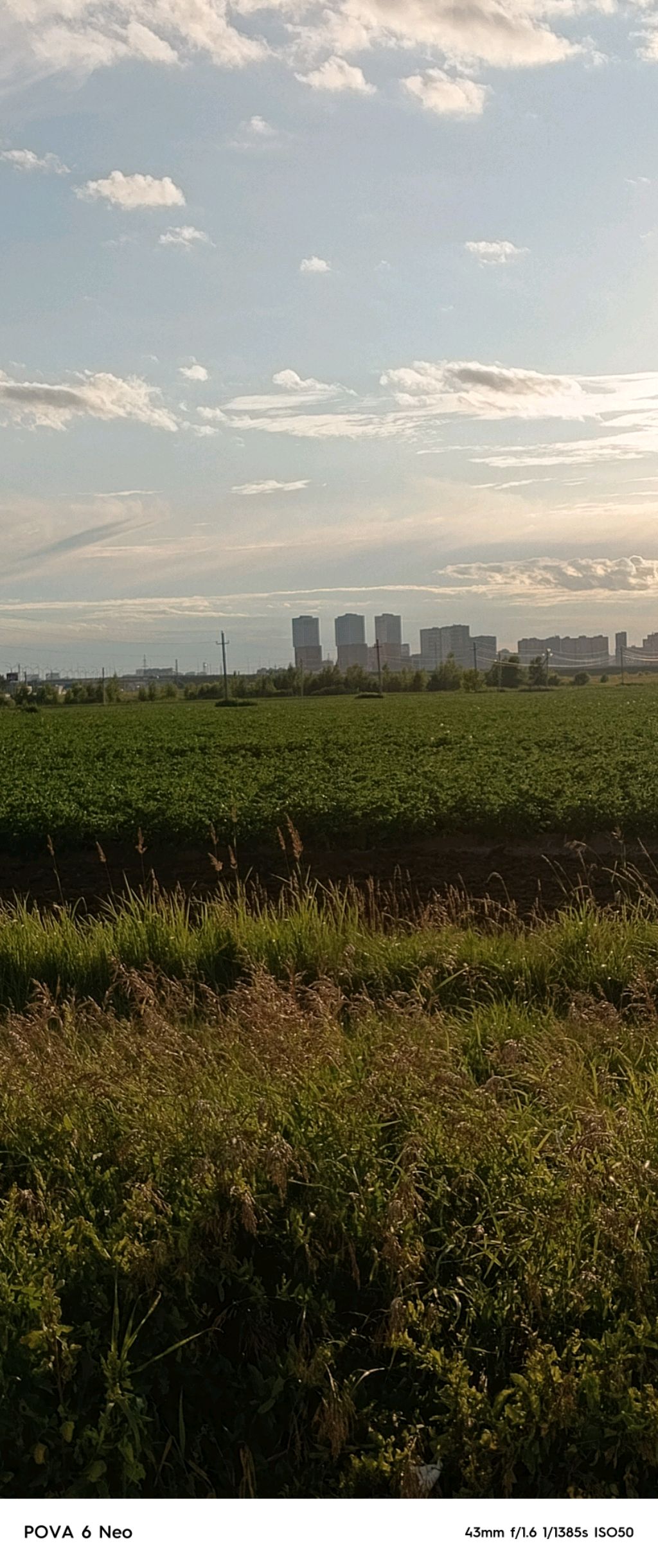 играю в Блек нашу