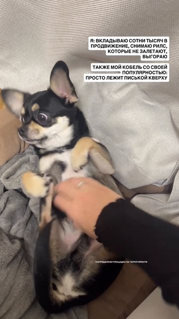 ТГК - Канал Лучистой