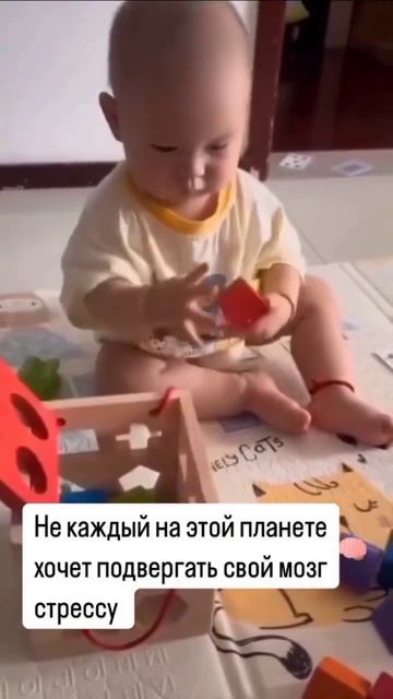 VID_20251209_121434_594.mp4