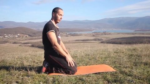 Укрепить почки и органы мочеполовой системы.